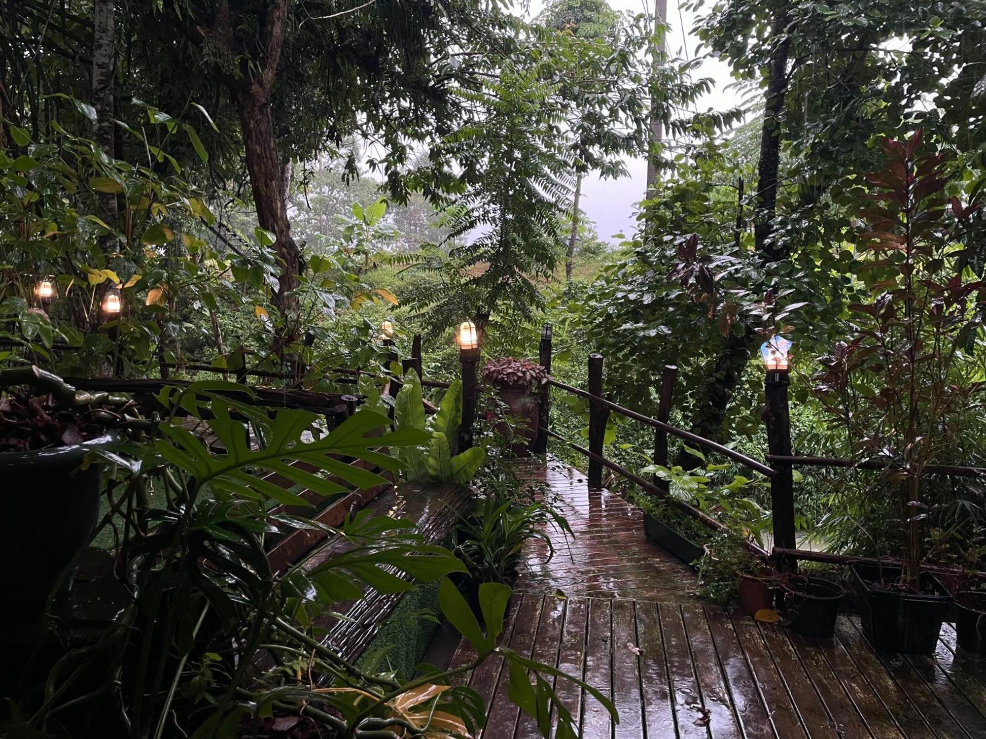 Khaosok Farmstay Khao Sok National Park Exterior foto